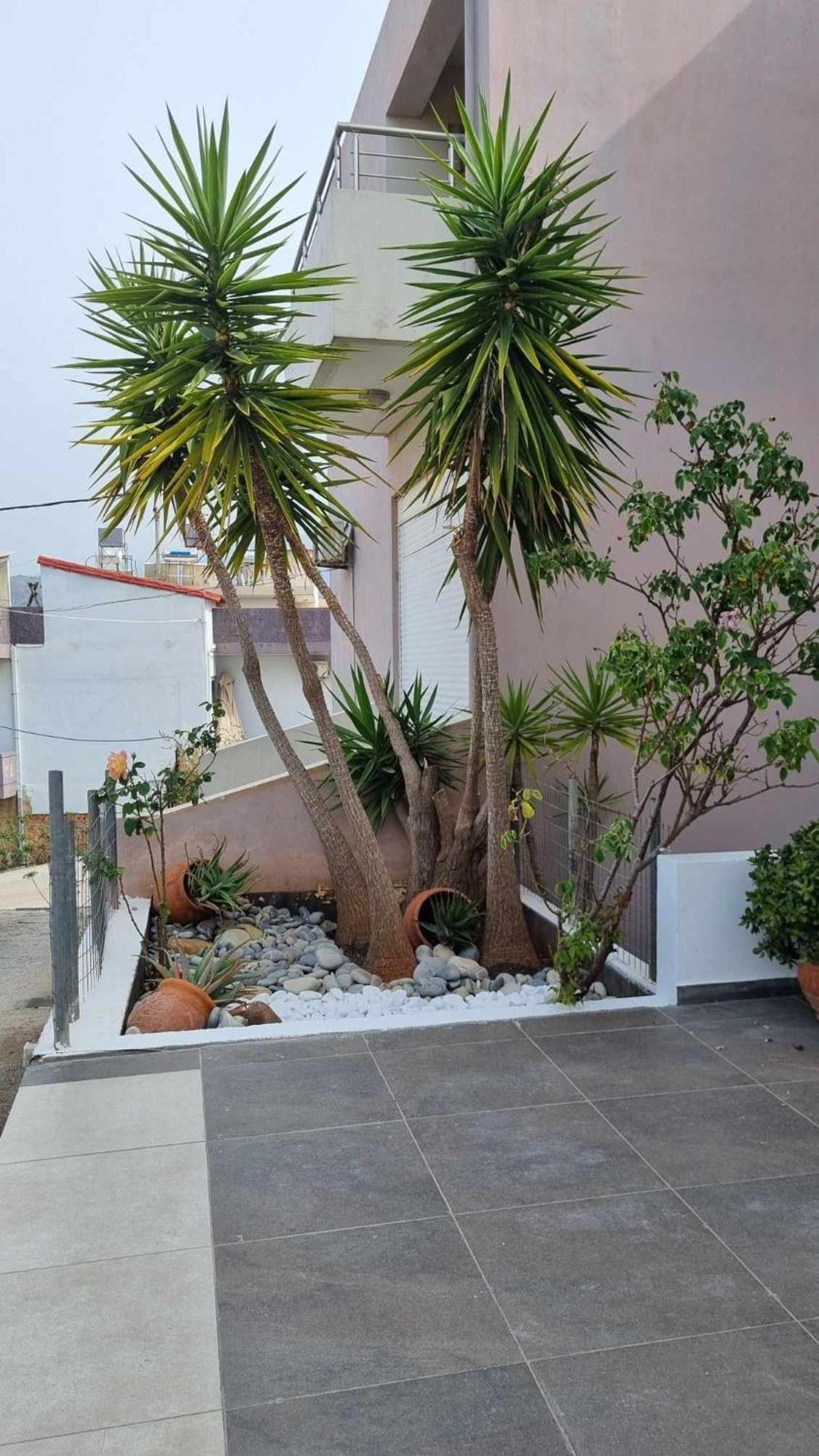 Chania Four Seasons Maisonette Oda fotoğraf